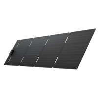 EcoFlow 60W Portable Solar Panel Type-C EcoFlow