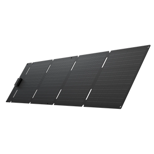 EcoFlow 60W Portable Solar Panel Type-C