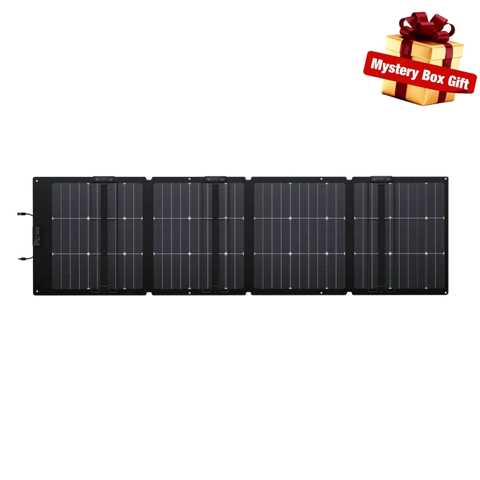 EcoFlow NextGen 220W Bifacial Portable Solar Panel EcoFlow
