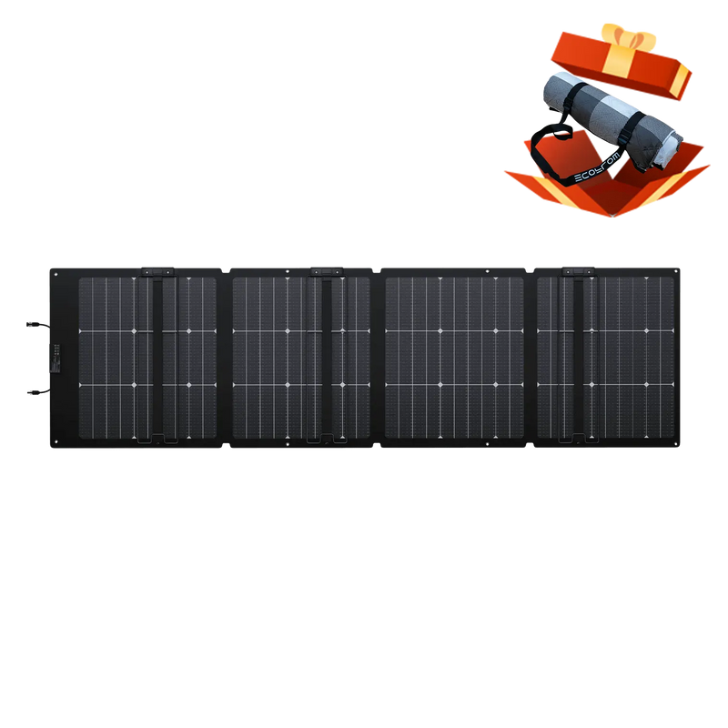 EcoFlow Delta 3 Plus + 220W Bi-Facial Solar Panel EcoFlow