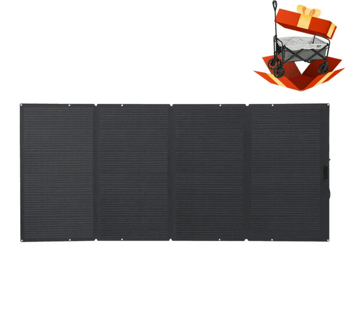 EcoFlow Delta 2 + 400W Solar Panel EcoFlow