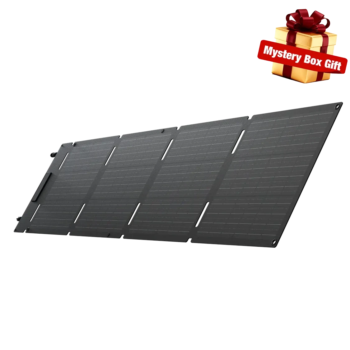 EcoFlow 60W Portable Solar Panel Type-C EcoFlow