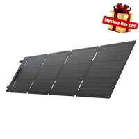 EcoFlow 60W Portable Solar Panel Type-C EcoFlow