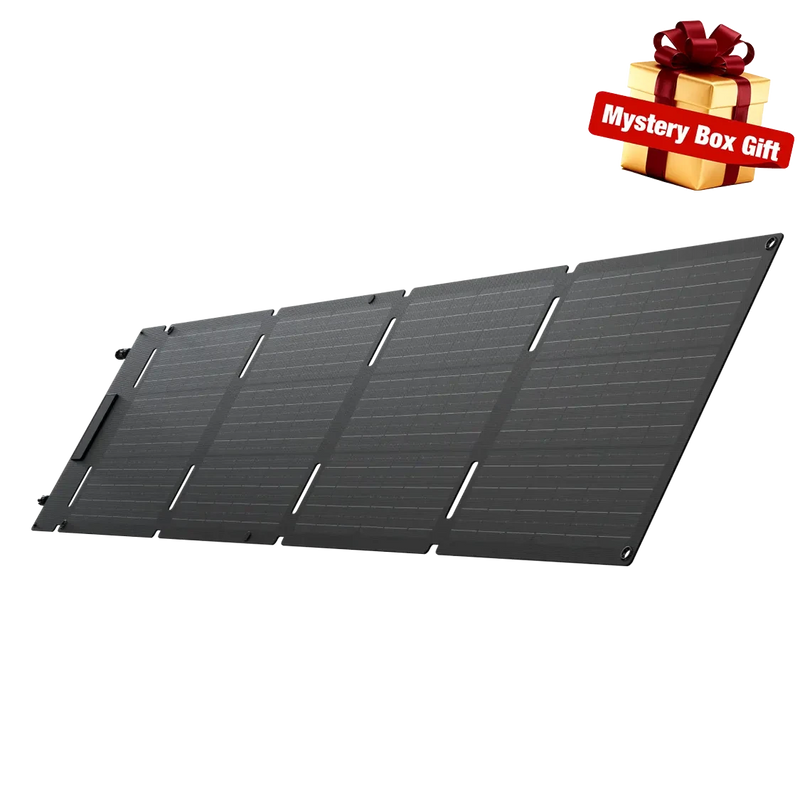 EcoFlow 60W Portable Solar Panel Type-C EcoFlow
