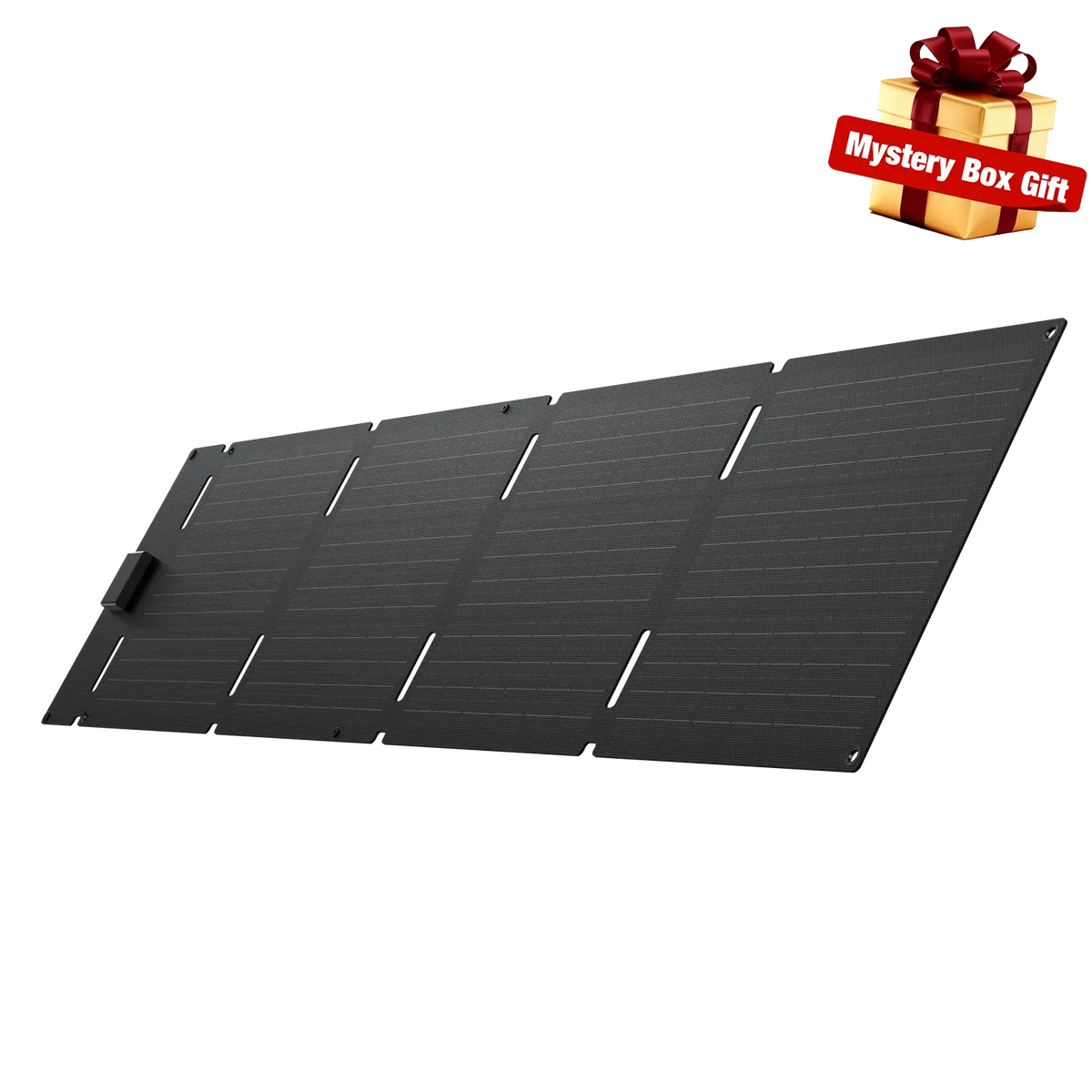 EcoFlow 60W Portable Solar Panel Type-C EcoFlow