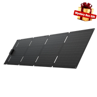 EcoFlow 60W Portable Solar Panel Type-C EcoFlow