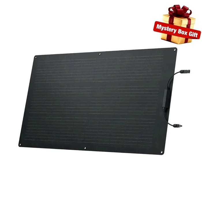 Ecoflow 100W Flexible Solar Panel EcoFlow